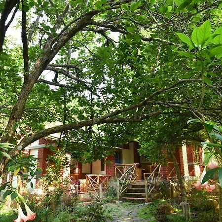Hotel Bison Woods Yercaud Exterior foto
