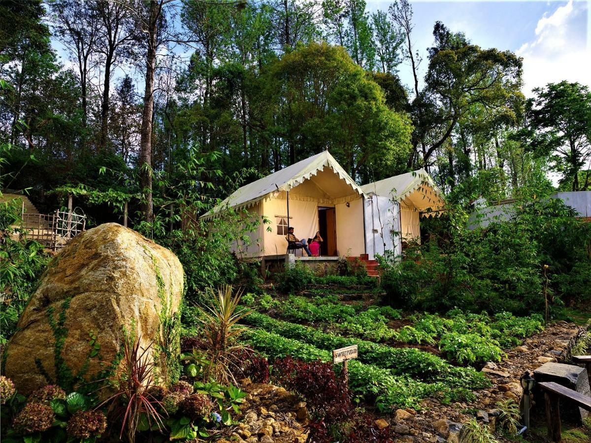 Hotel Bison Woods Yercaud Exterior foto
